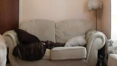 3d dog sex: rus bew women animals porn