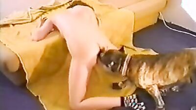 Animal porno: small dog porn