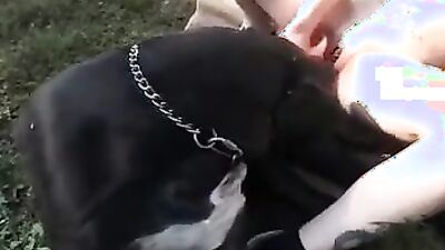 Bestiality sex: dog lick pussy girl