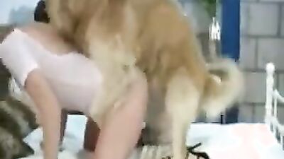 Dog porn video: wife animal sex my wife zoo porn