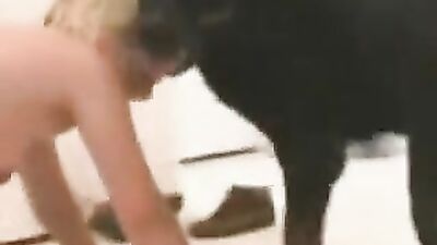 Women's dog sex: bestiality dog women
