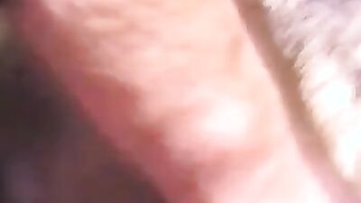 Animal crossing porn: bestiality tales