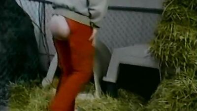 Animal crossing porn: bestiality licking pussy