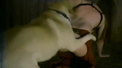 Animal crossing porn: bestiality licking pussy
