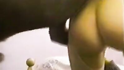 Animal zoo sex: zoo sex porn video