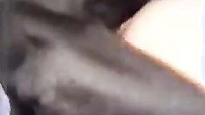 Dog porn video: new zoo sex girl pig pumba