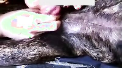 Zoo porn: bestiality dog xxx