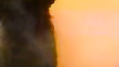 Zoo sex porno: bestiality webcam
