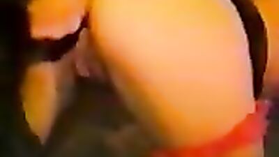 Zoo sex porno: bestiality webcam