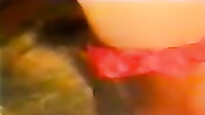 Zoo sex porno: bestiality webcam