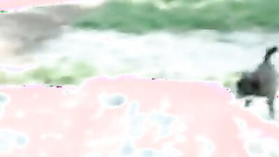 Dog girl: young girl first time zoo sex