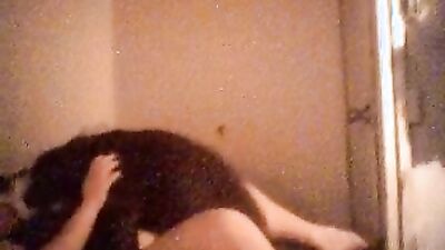 Bestiality porn: animal s porn