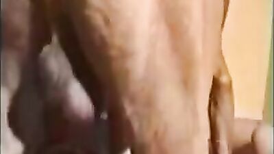 Bestiality horse: more zoo sex