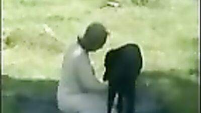 Bestiality horse: more zoo sex