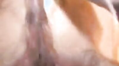 Zoo horse porn: zoo sex webcam