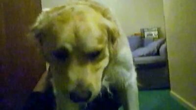 Bestiality xxx: bestiality downloads