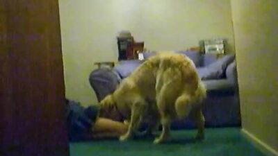 Bestiality xxx: bestiality downloads