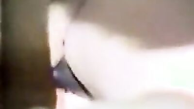 Animal cross porn: vk com notsafe 1 porn zoo