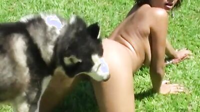 Animal cross porn: animal dog porn video