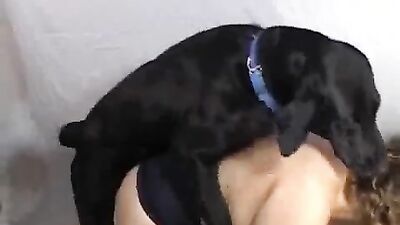 Zoo porn compilation: bestiality xxx 21