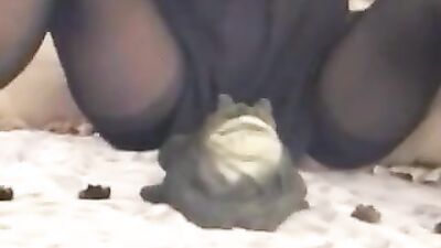 Animal porno: zoo porno seks video