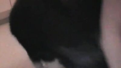 Mimi dog girl: animal zoophilia