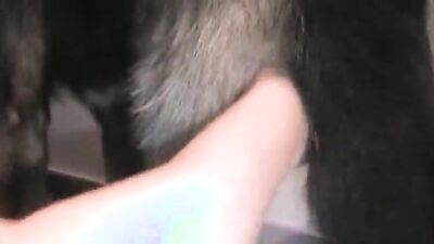 Teen dog sex: zoophilia tv