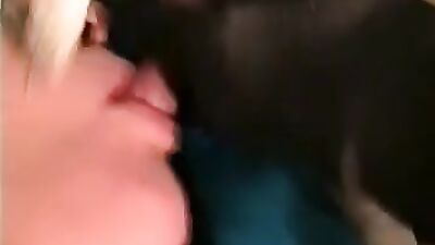 Zoo porn 2026: boar zoo porn