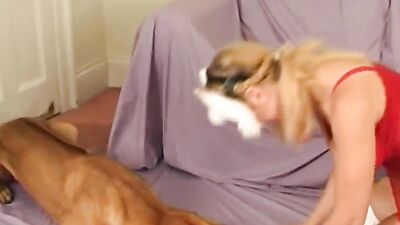Girl dog video: h zoo sex sbs