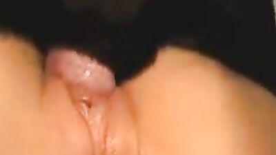 Dog girl anal: poo19 shit dog for 5 girls