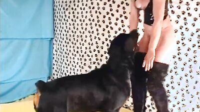 Zoo porn 2026: granny zoo porn