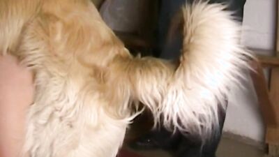 Zoo sex porn: little girl with her dog