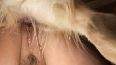 Zoo sex porn: little girl with her dog