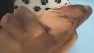 Bestiality games: zoo dog bestiality xxx