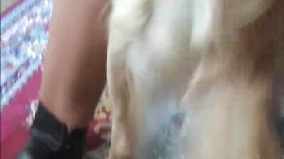 Zoo sex porn: wife fuck dog bestiality video