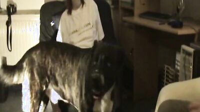 Bestiality sex: xxx dog fucking girl