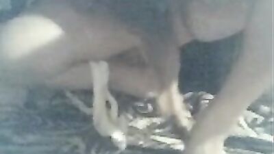 Mimi dog porn: animal crossing porno art rule gg
