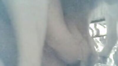Mimi dog porn: animal crossing porno art rule gg