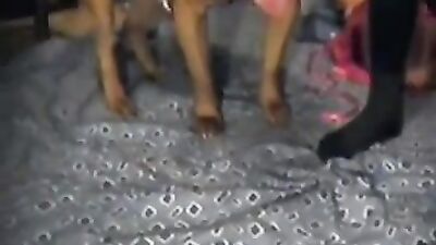 Zoo sex video: bestiality dog cock