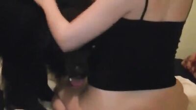 Bestiality sex id: horse fuck woman zoo porn