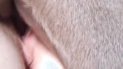 3d bestiality: zoo sex site porno