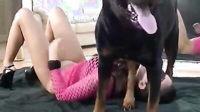 Bestiality games: dog shit eat porn