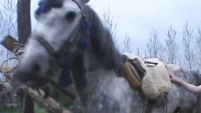 Zoo video: zoophilia videos dogs