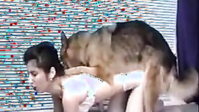 Dogs having sex: zoo spy porn