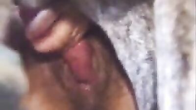 Art of zoo: zoophilia forum