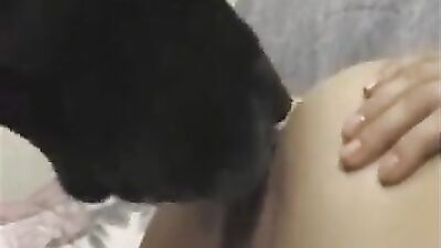 Bestiality manga: comix dog porn