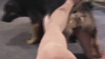 Bestiality sex id: dog porn guy