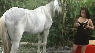 Zoo porno video: dog comics porn vk