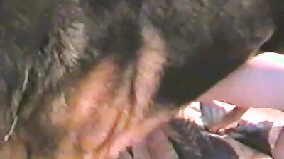 Zoo sex: frau dog sex