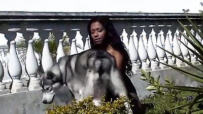 Zoo sex porn: dog animal sex girl 2026